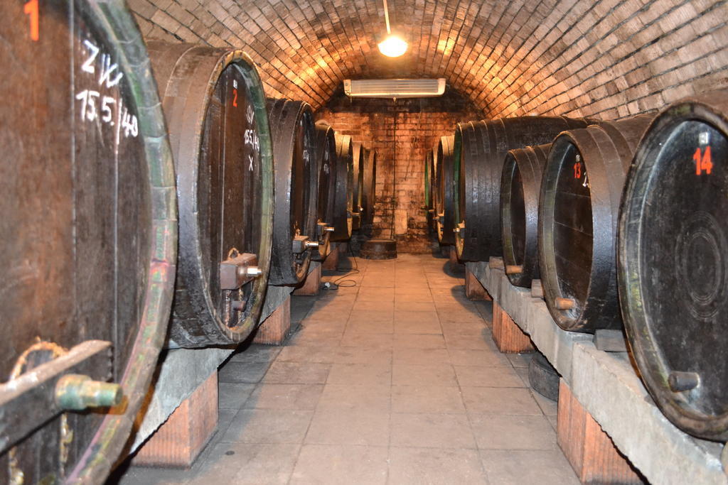 Penzion Vinarsky Dvorek Velke Nemcice Extérieur photo